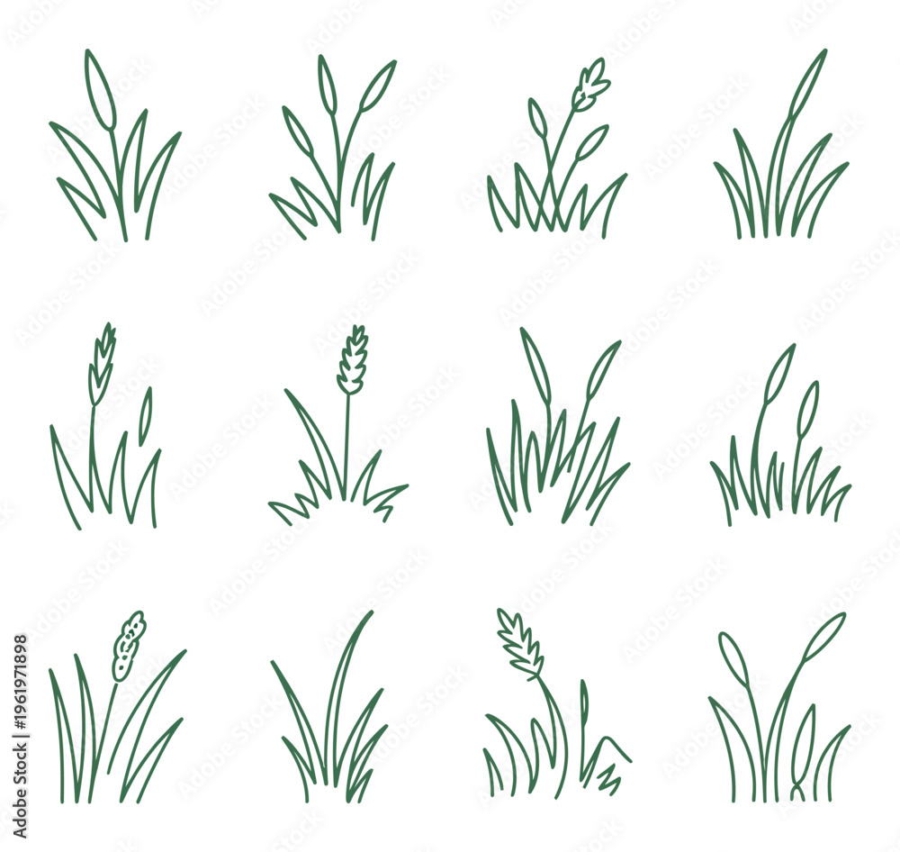 Fototapeta premium Green Grass Vector Illustration Set
