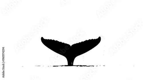 Whale tail silhouette ocean marine animal fluke icon black vector illustration