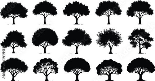 Collection of fifteen distinct tree silhouettes arranged in rows, showcasing diverse canopy shapes, trunks, and foliage styles for design, botanical study, and landscape illustration