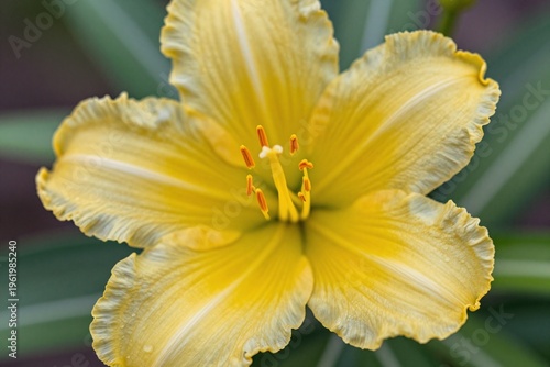 A close up of a yellow flower with a blue sky in the background