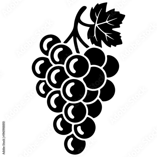 Fotografie Bunch of grapes with leaf fruit vine