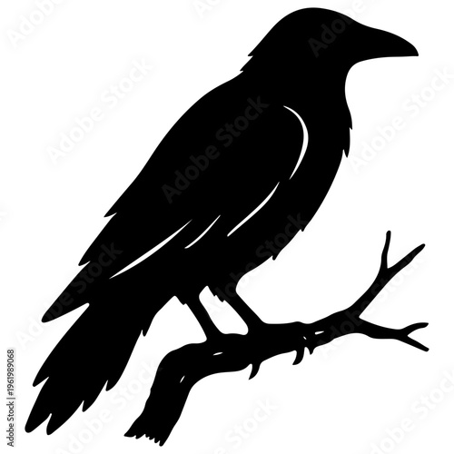Crow perched on branch bird silhouette black white background