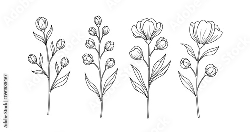 Elegant botanical line art of stylish plant stems and blooms