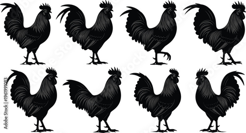 Collection Of Eight Black Rooster Silhouettes In Various Poses Hand Drawn Vintage Woodcut Style For Farm Branding Poultry Logo Design And Rustic Countryside Illustrations (25 words)