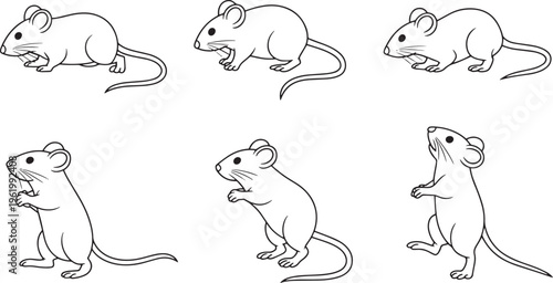 different poses of a mouse line art bundle set
