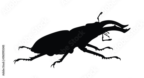 A striking black stag beetle illustration in detailed silhouette