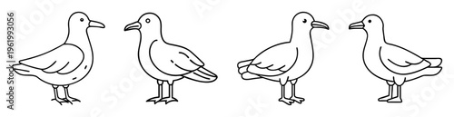 Line drawing illustration of four seagulls standing together on white background