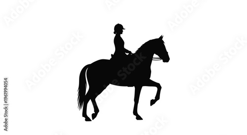 A rider on horseback depicted in a striking black silhouette