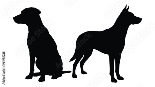 Silhouette of two dogs side by side