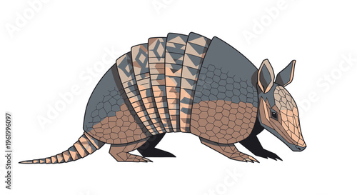 Armadillo illustration, a unique mammal with armor plating, isolated on white background