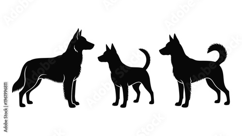 Three great dane silhouettes standing in profile