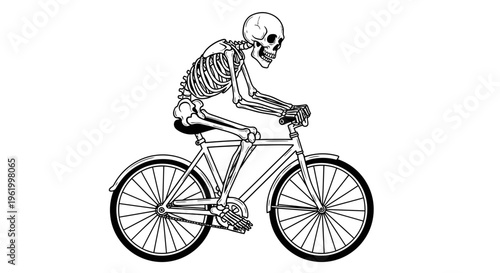 Vector illustration of a human skeleton riding a bicycle, isolated on white background. Macabre cycling concept for Halloween or gothic design.