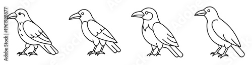 Four outline illustrations of crows or ravens standing side by side