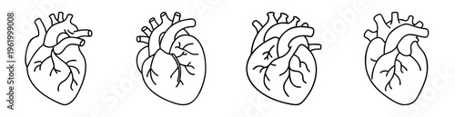Outline illustration of four anatomical hearts with arteries and veins