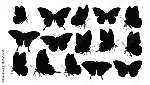 Collection of black butterfly silhouettes on white background