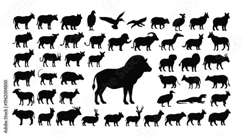 Collection of diverse animal silhouettes in black on white background