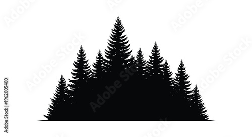 Dense forest of evergreen trees depicted in stark black silhouette