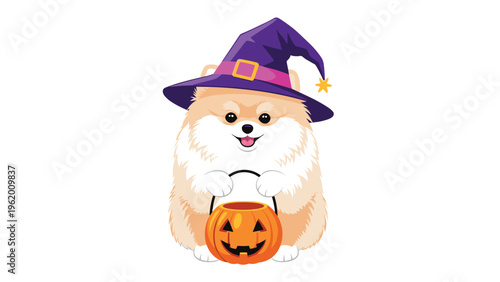Adorable pomeranian dog dressed in a purple witch hat for halloween holding a pumpkin jack-o-lantern bucket in its paws.