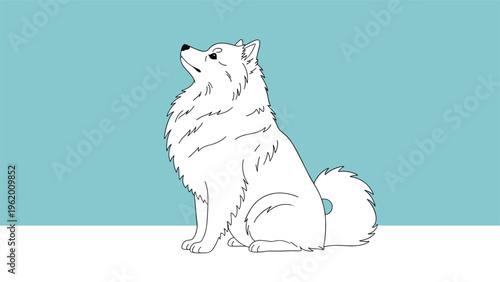 Minimalist line art illustration of a fluffy white dog sitting and looking upwards on a soft teal and white divided background.