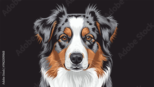 Detailed artistic portrait of an australian shepherd dog head with striking blue eyes and a multi-colored merle coat on black.