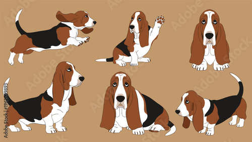 Variety of basset hound dog illustrations featuring the breed in several poses like running, sitting, and looking forward on tan.