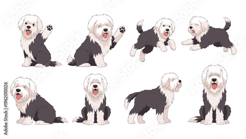 Large set of illustrations showing an old english sheepdog in eight different active poses like waving sitting running and jumping.