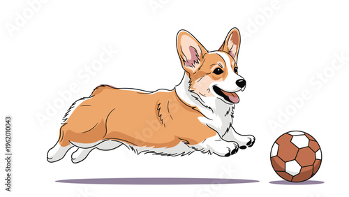 Energetic corgi dog jumping high in the air to play with a soccer ball against a clean white background showing its active lifestyle.