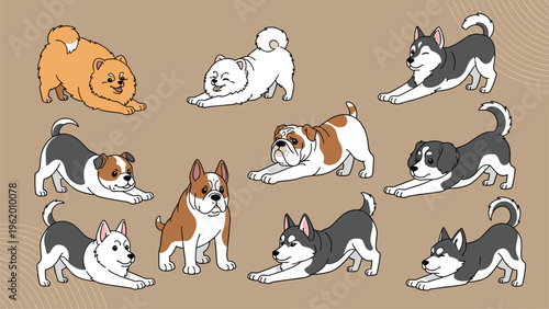 Diverse collection of various dog breeds including bulldog and husky shown in playful stretching poses on a brown background.