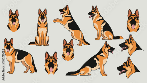 German shepherd dog character illustrations showing the breed in various poses and head profile views on a light gray base.