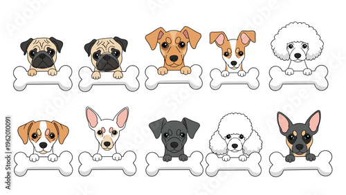 Group of cute dog faces including pug and poodle breeds peeking over large white bones in a charming horizontal arrangement.