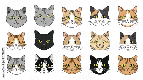 Grid of fifteen unique domestic cat face illustrations showing a variety of breeds and coat colors on a white background.