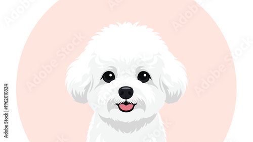 Charming close up portrait of a white bichon frise dog face framed within a soft pink circle for a clean pet character design.