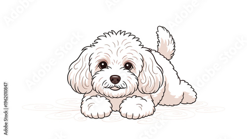 Adorable white maltese puppy lying down and looking forward with large expressive eyes on a clean white background artwork.