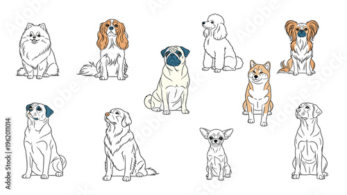 Large collection of diverse dog breed illustrations showing various canine pets sitting in different poses on a white background.
