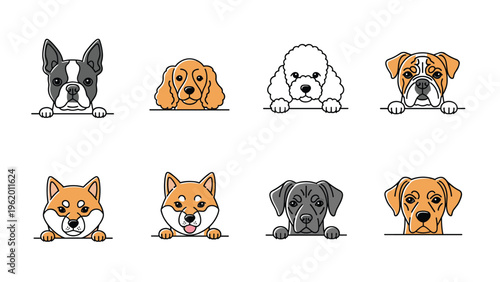 Diverse collection of different dog breeds peeking over a line, including poodle, bulldog, shiba inu, and others.