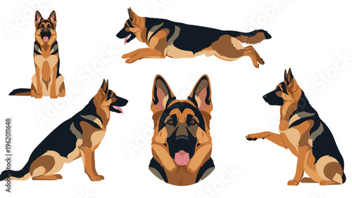 Collection of six illustrations of a German Shepherd dog including full body poses and a detailed head portrait.