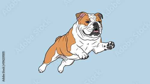 English bulldog dog jumping and pouncing in the air with a happy expression on a solid light blue background.