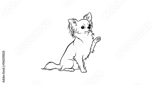 Long haired chihuahua dog outline drawing sitting and waving its paw with a fluffy tail on a clean white background.