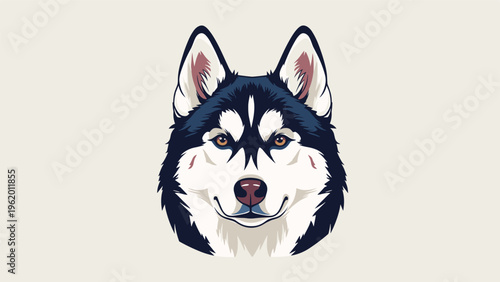 Siberian husky dog head close up portrait with blue and white fur and intense brown eyes on a light grey background.
