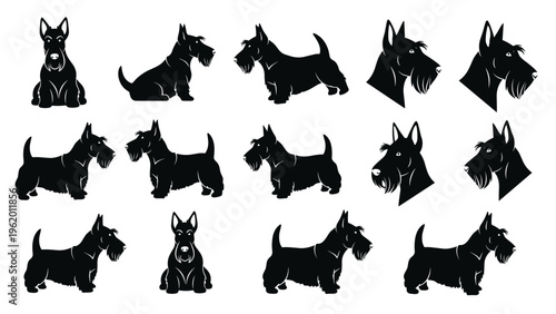 Fifteen scottish terrier dog silhouettes in various poses and head shots arranged in a grid against a white background.