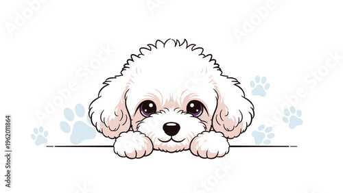 White poodle dog peeking over a horizontal line with cute eyes and small paw prints in the background on a white canvas.