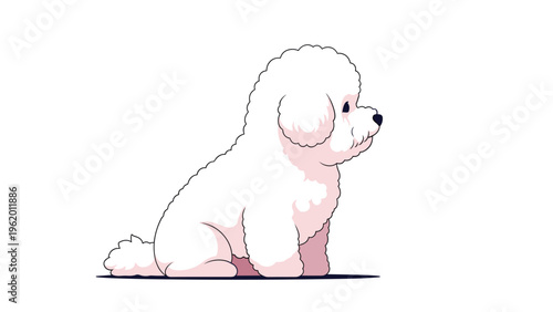 White bichon frise or maltese dog sitting in a side view pose with fluffy fur and a small tail on a plain white background.