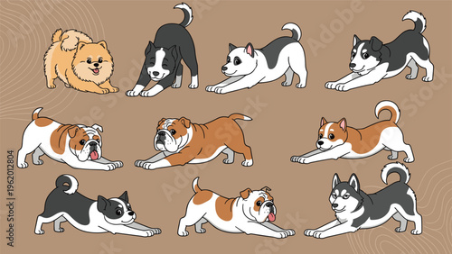 Group of various dog breeds performing a yoga stretching pose together on a warm brown background with wavy lines.