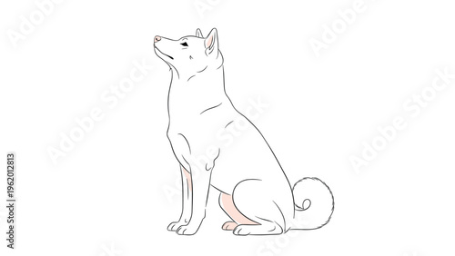 Simple line drawing of a white shiba inu dog sitting and looking up expectantly in a clean minimalist art style.