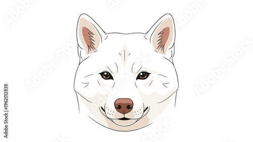 Detailed head portrait of a white dog, likely a shiba inu or akita, with a calm expression on a white background.