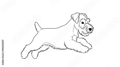 Simple line drawing of a wire fox terrier or airedale terrier dog jumping, showing its distinctive bearded face.