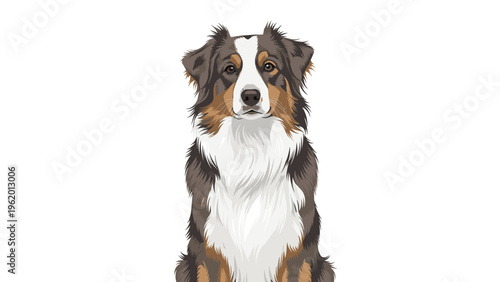 Beautiful portrait of an australian shepherd dog with its characteristic tricolor fur and intelligent eyes illustration.