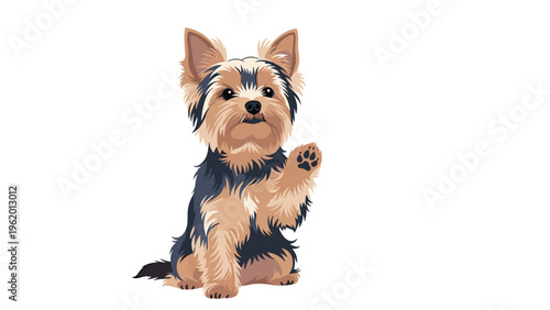 Small yorkshire terrier dog sitting upright and waving one paw in a friendly greeting against a clean white background.