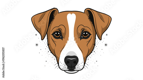Detailed face illustration of a jack russell terrier with bright eyes and alert ears surrounded by decorative stars.