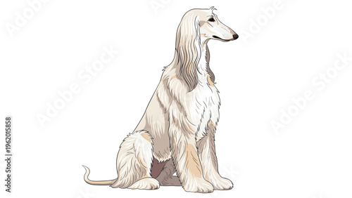 Elegant long haired afghan hound dog sitting gracefully in a side profile view shown in soft tan and white colors.